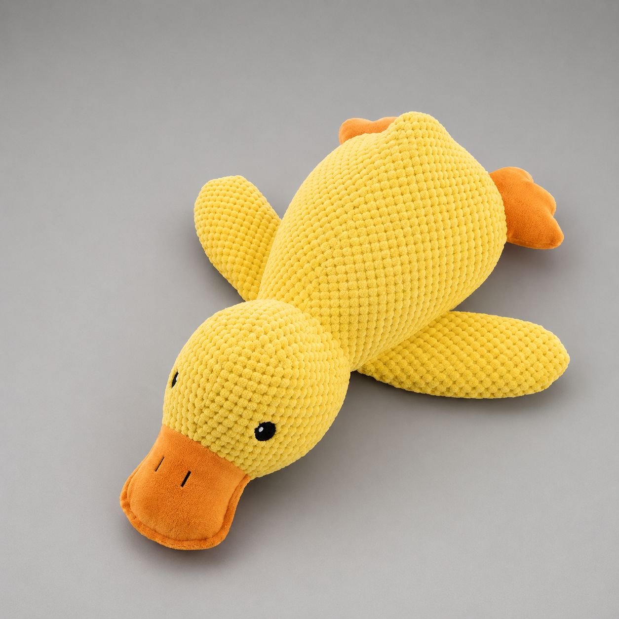 The Squeaky Duck