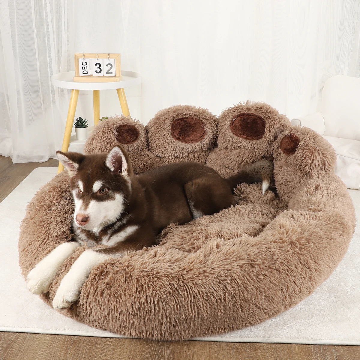 The Fluffy Bed